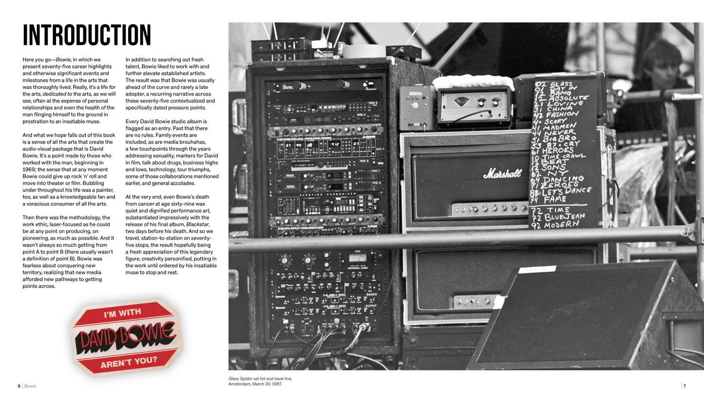 David Bowie: Rock 'n' Roll Chameleon