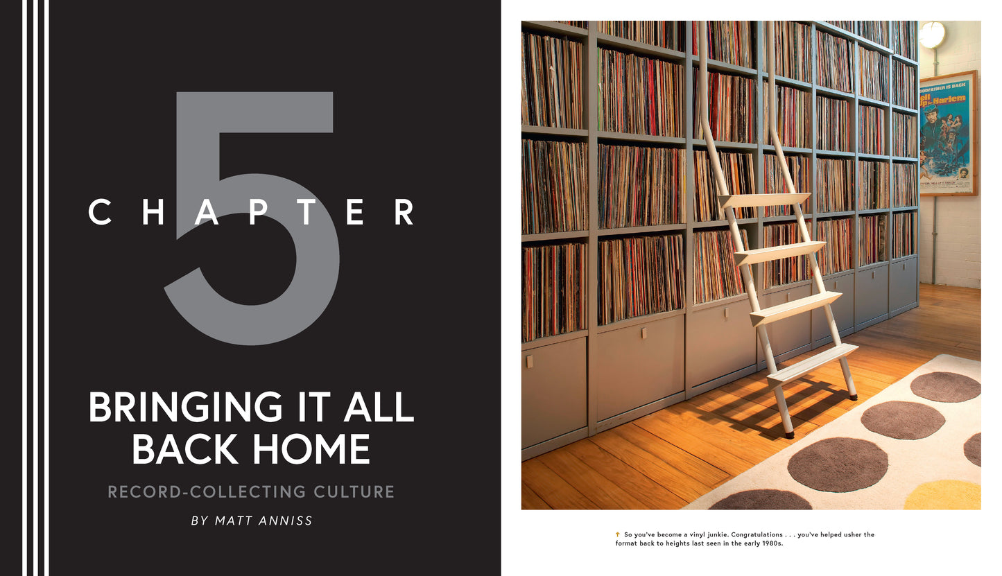 In the Groove: The Vinyl Record and Turntable Revolution