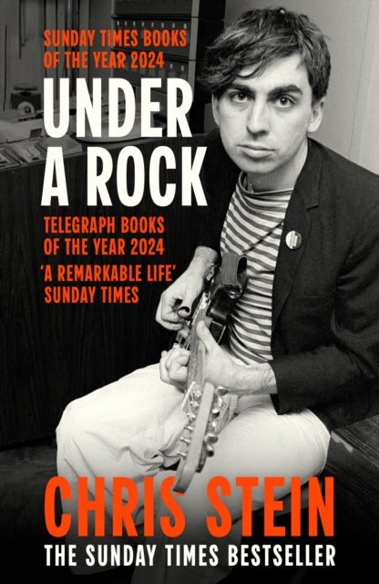 Under A Rock by Chris Stein 