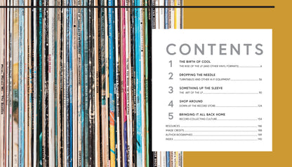 In the Groove: The Vinyl Record and Turntable Revolution